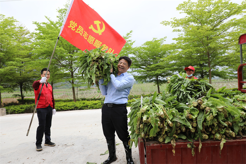 韋義勇幫助農(nóng)戶搬運萵筍.jpg